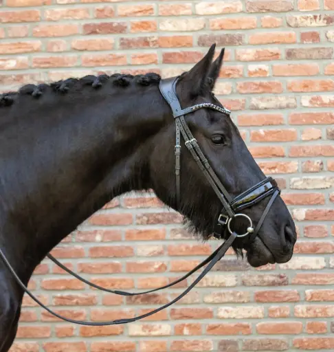 Cavallure hoofdstel Showline black