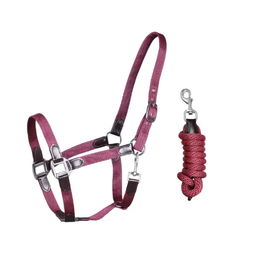 Halsterset Performance Burgundy